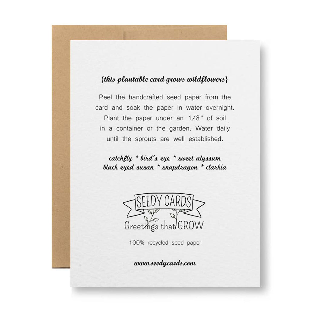 Plantable Seed Paper Greeting Card - {bicycle with a basket}
