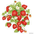 Single Flour Sack Towels Strawberry