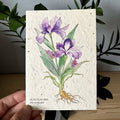 Iris Plantable Wildflower Seed Greeting Card