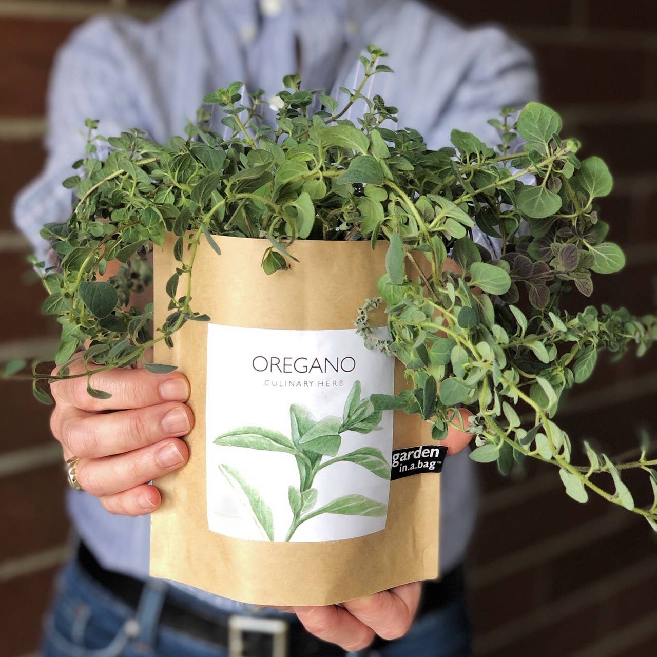 Garden in a Bag | Oregano |Spring Kitchen Garden Gift
