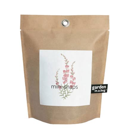 Garden in a Bag Snapdragon | Spring Flower Gift