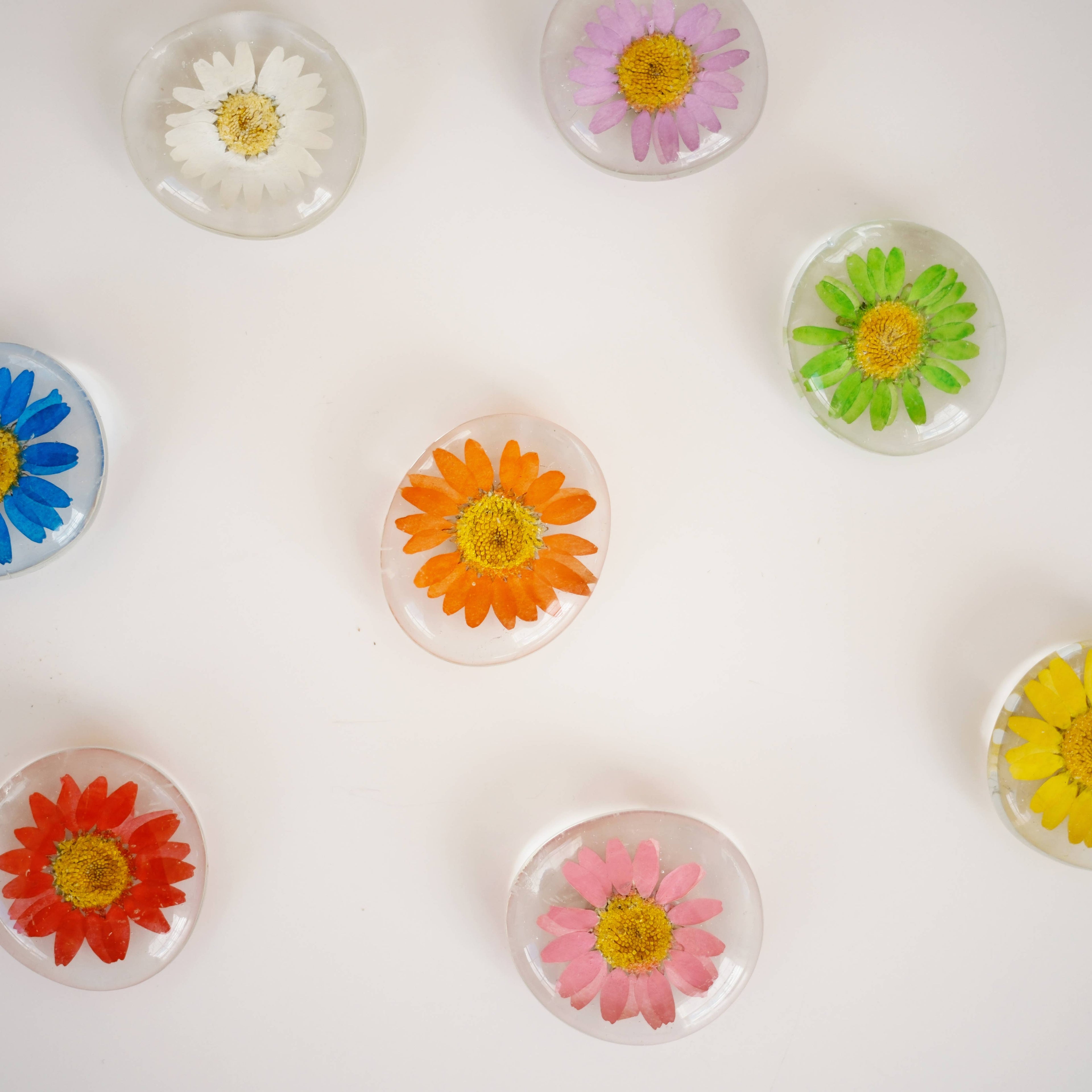 Real Flower Magnet - Glass Magnet