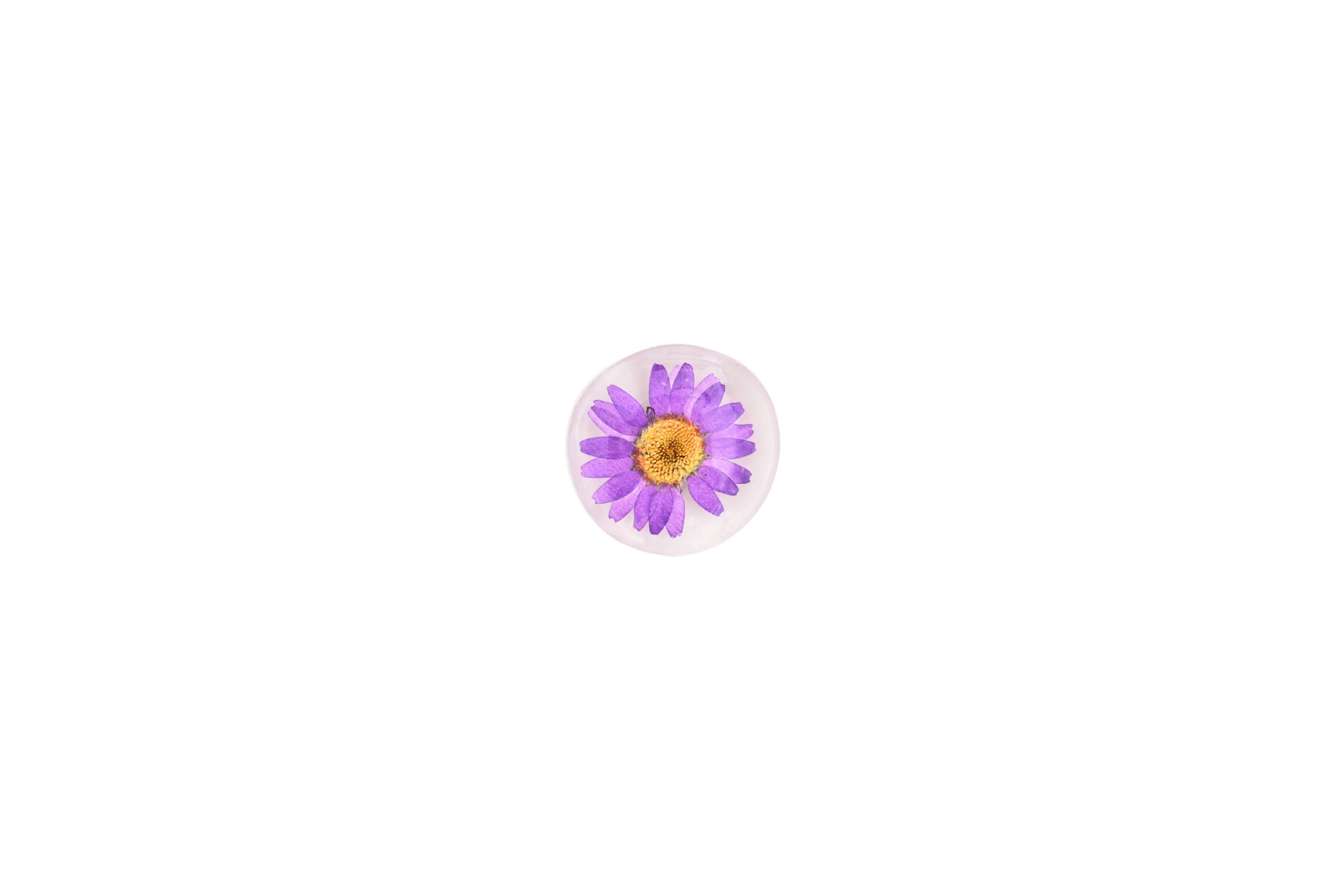 Real Flower Magnet - Glass Magnet