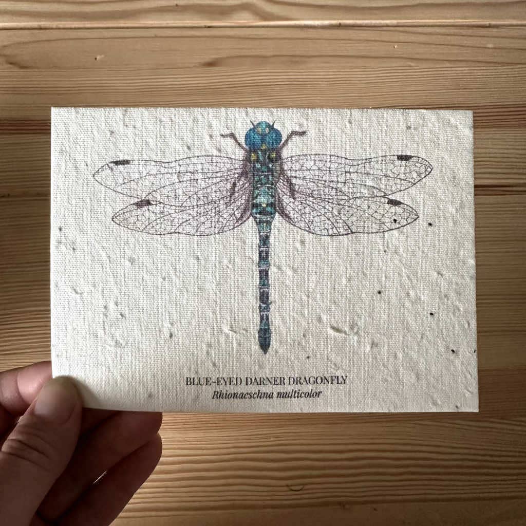 Darner Dragonfly Plantable Wildflower Seed Greeting Card