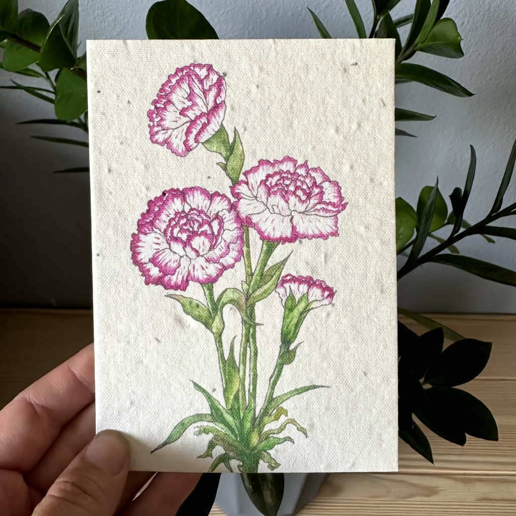 Carnation Greeting Card Plantable Wildflower Herb Seed Card