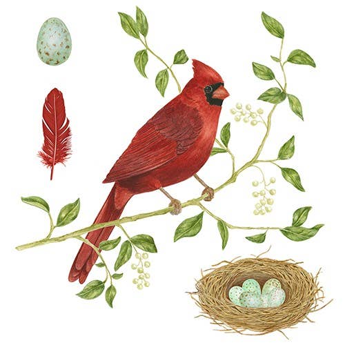 Cardinal Flour Sack Towel