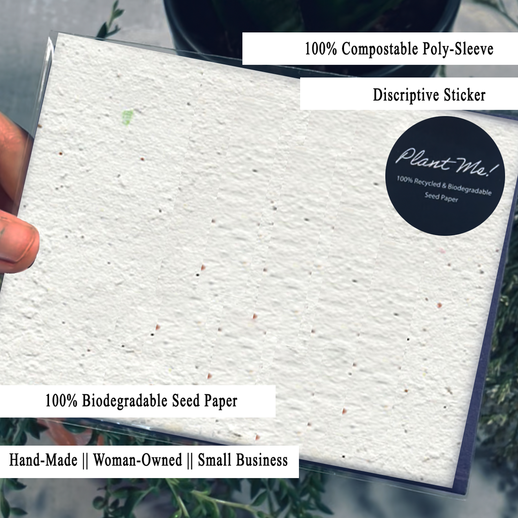 Floral Garden Birthday Wildflower Seed Paper Card