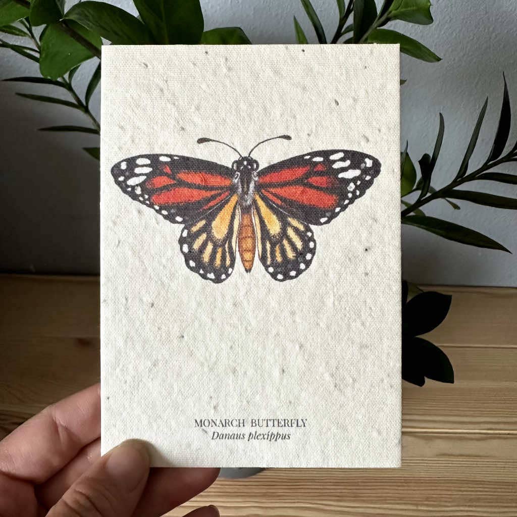 Butterfly Greeting Card Plantable Wildflower Herb Seed Card