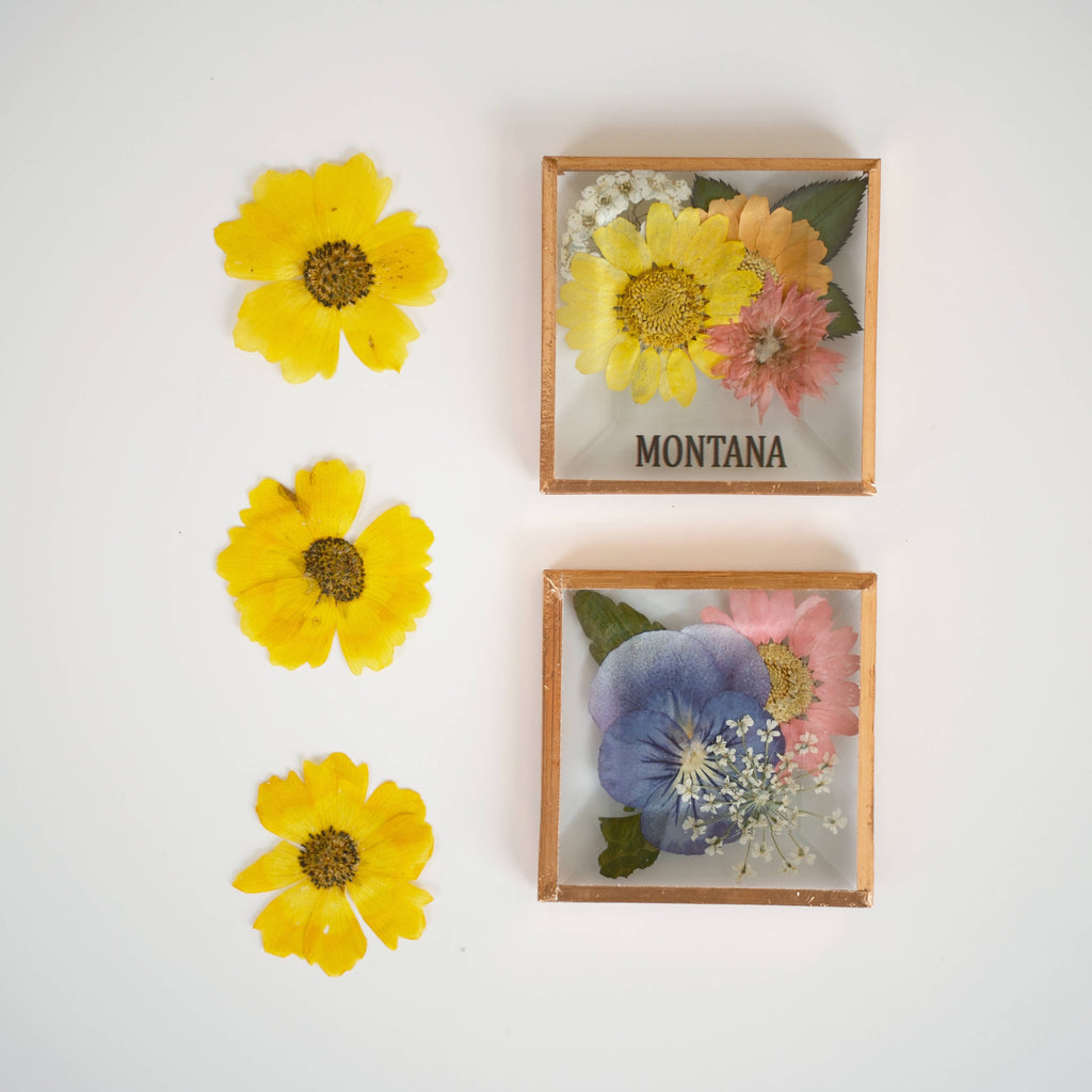 Beveled Glass Magnets - Real Pressed Flowers - Custom Magnet