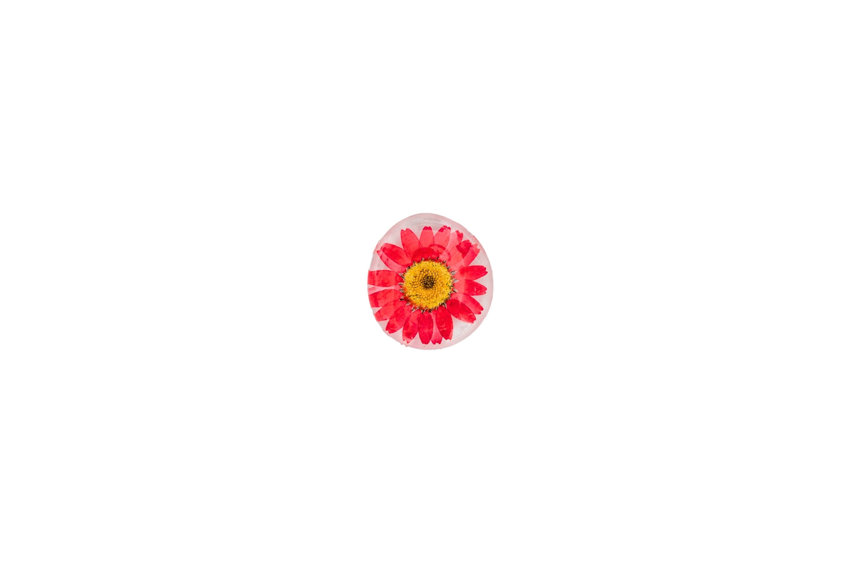 Real Flower Magnet - Glass Magnet