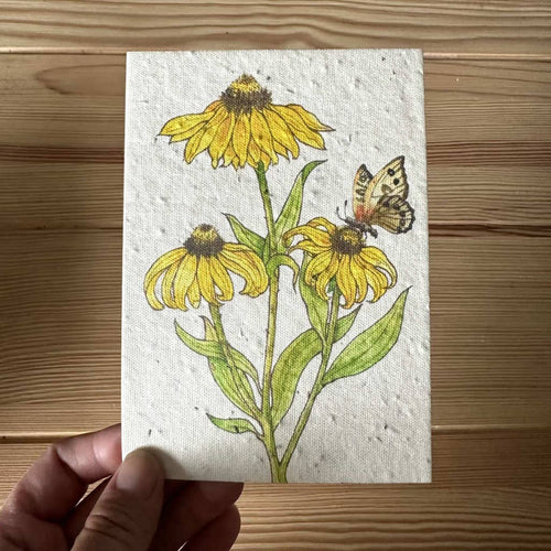 Black Eyed Susan Plantable Wildflower Seed Greeting Card