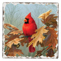 Cardinal Absorbent Stone Coaster