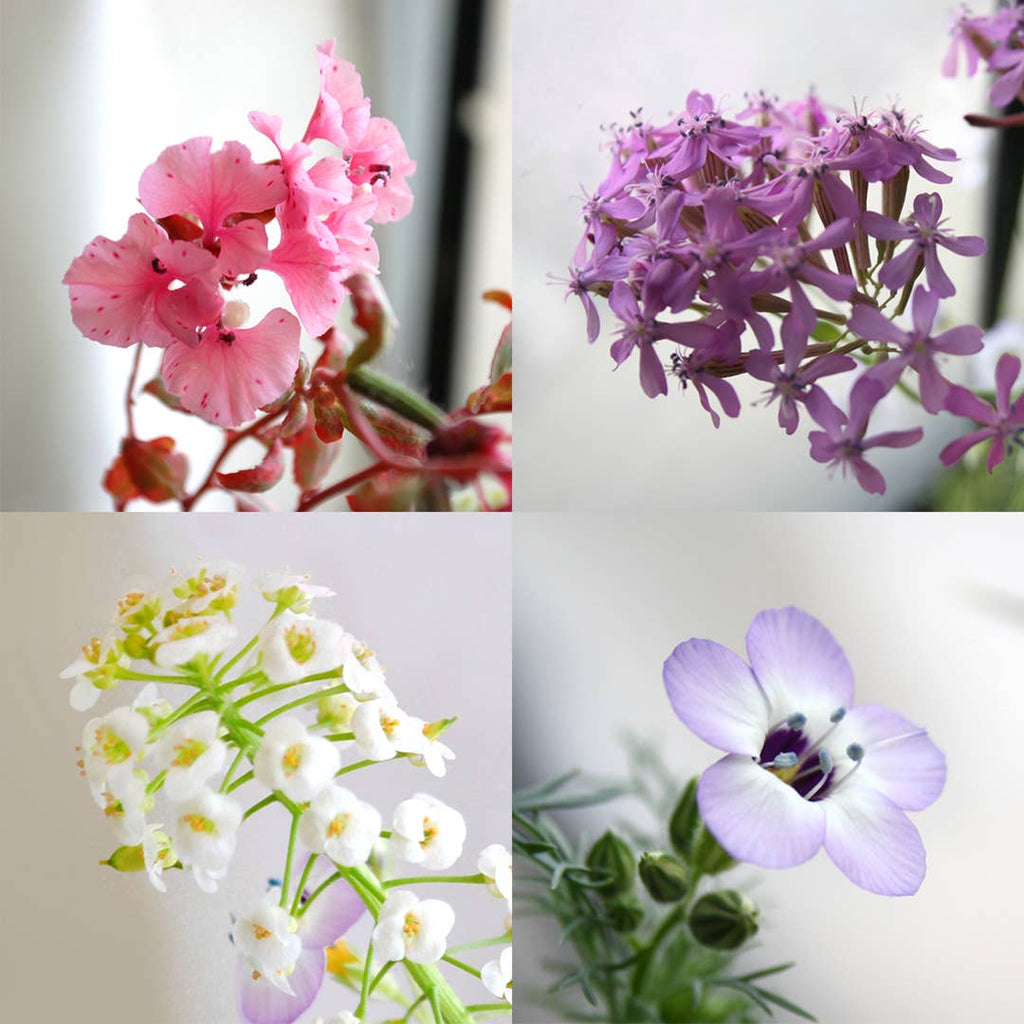 Plantable Seed Paper Greeting Card - {wooden cross}