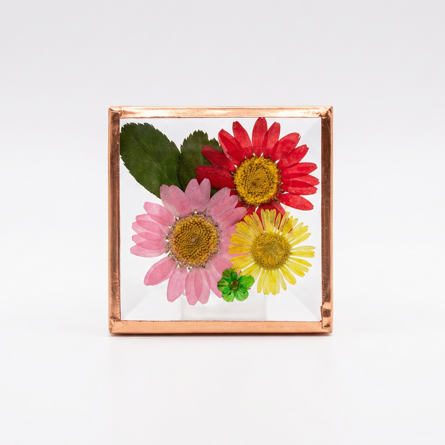 Beveled Glass Magnets - Real Pressed Flowers - Custom Magnet