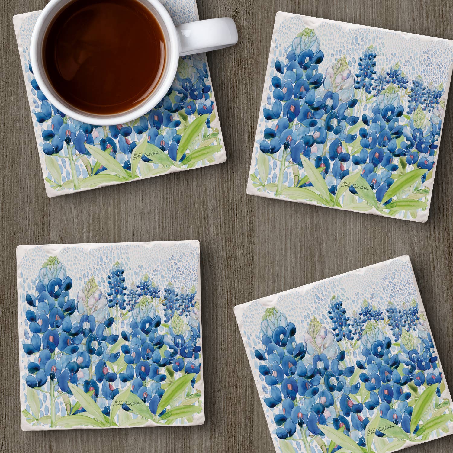 "Blue Bonnet Field" 4 Coasters
