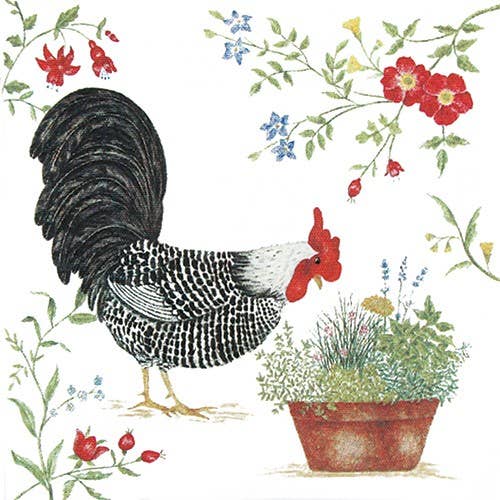 Single Flour Sack Towels Rooster