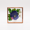 Beveled Glass Magnets - Real Pressed Flowers - Custom Magnet