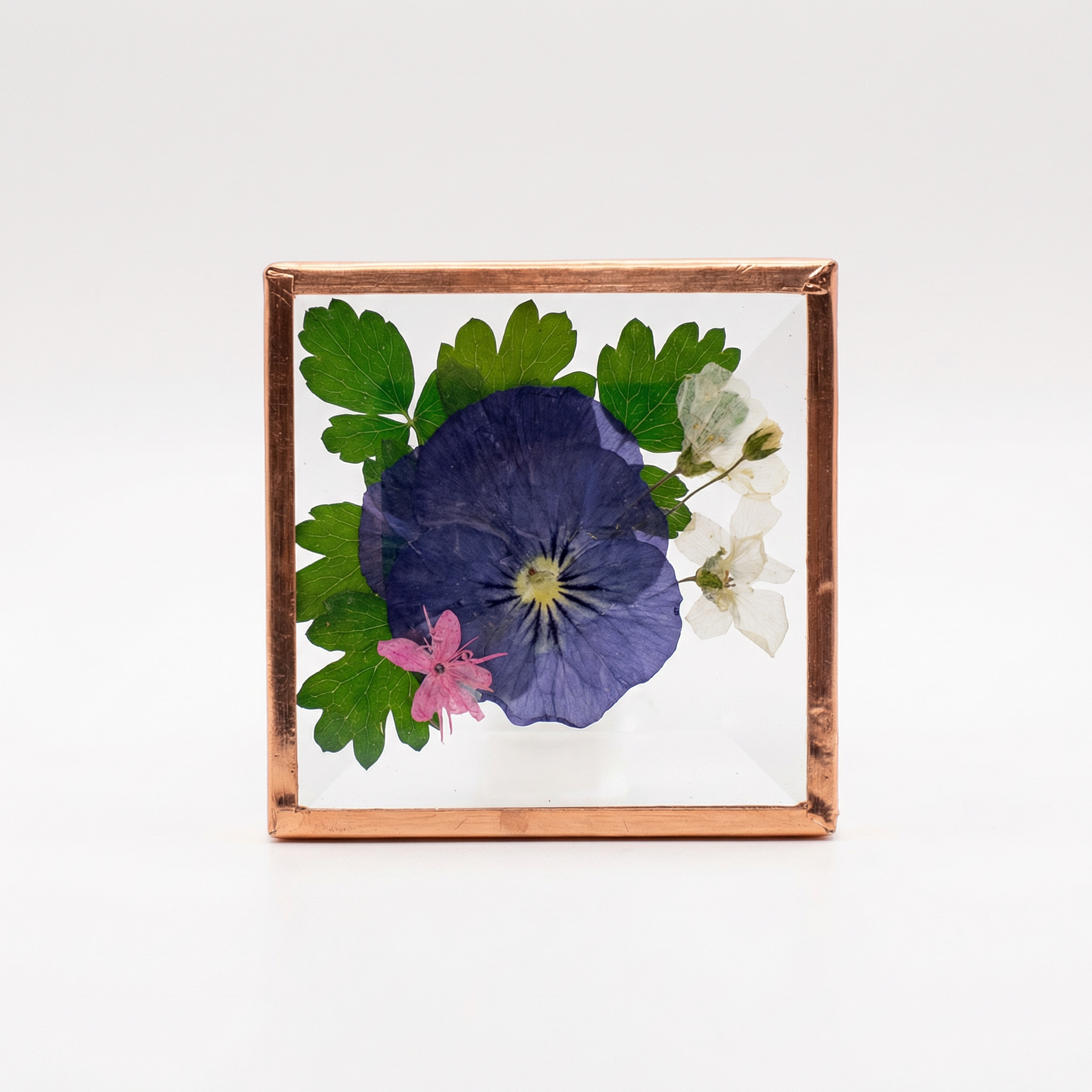 Beveled Glass Magnets - Real Pressed Flowers - Custom Magnet