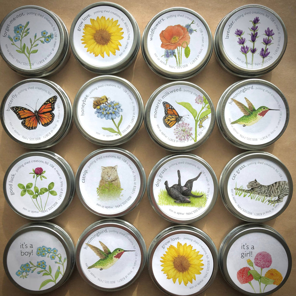 Garden Sprinkles Wildflowers | Spring flowers