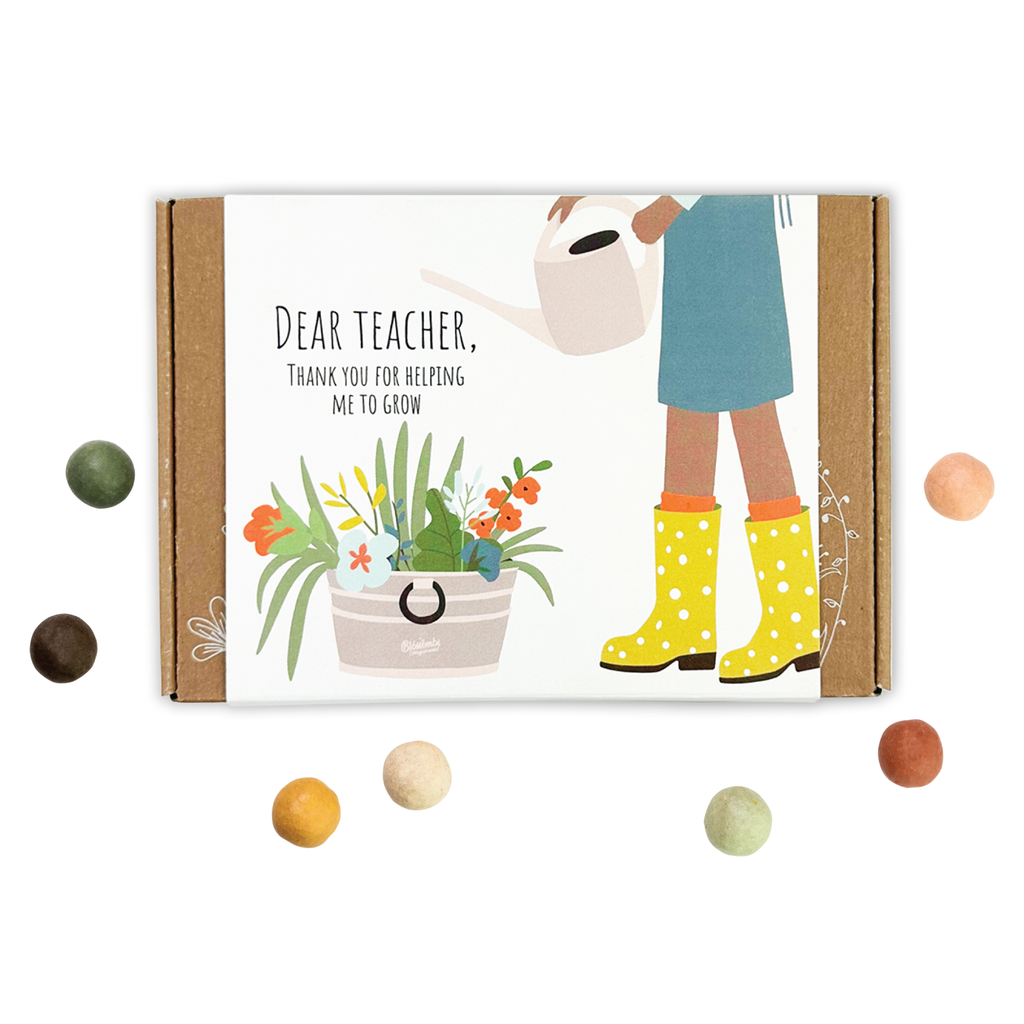Dear Teacher Seed Bomb Box | Wildflower Balls | Gift