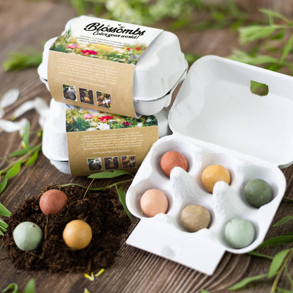 Egg Carton It's Spring | Wildflower Seed Bombs | Gift Set
