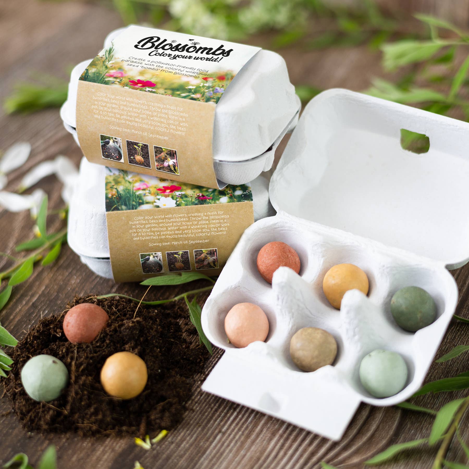 Egg Carton It's Spring | Wildflower Seed Bombs | Gift Set
