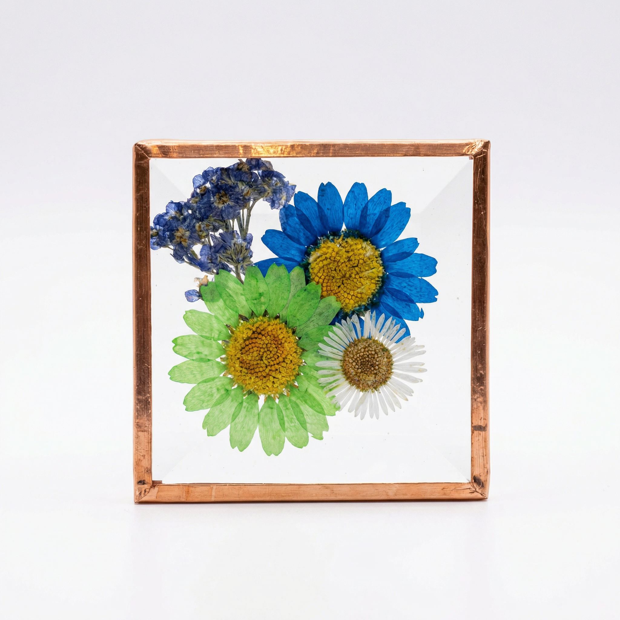 Beveled Glass Magnets - Real Pressed Flowers - Custom Magnet