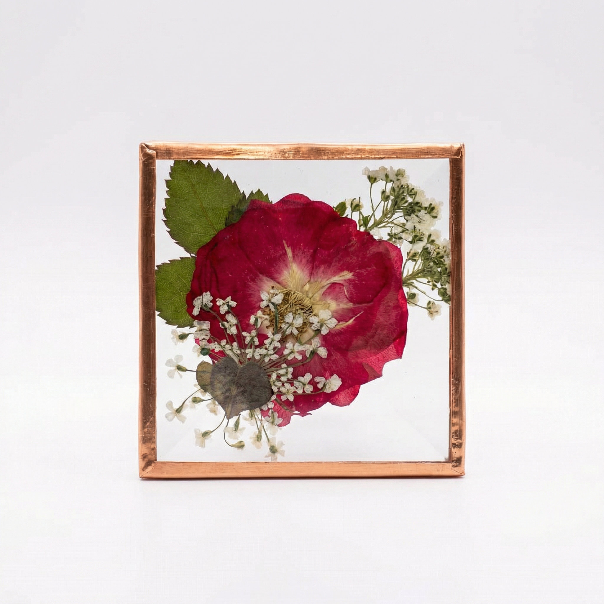 Beveled Glass Magnets - Real Pressed Flowers - Custom Magnet