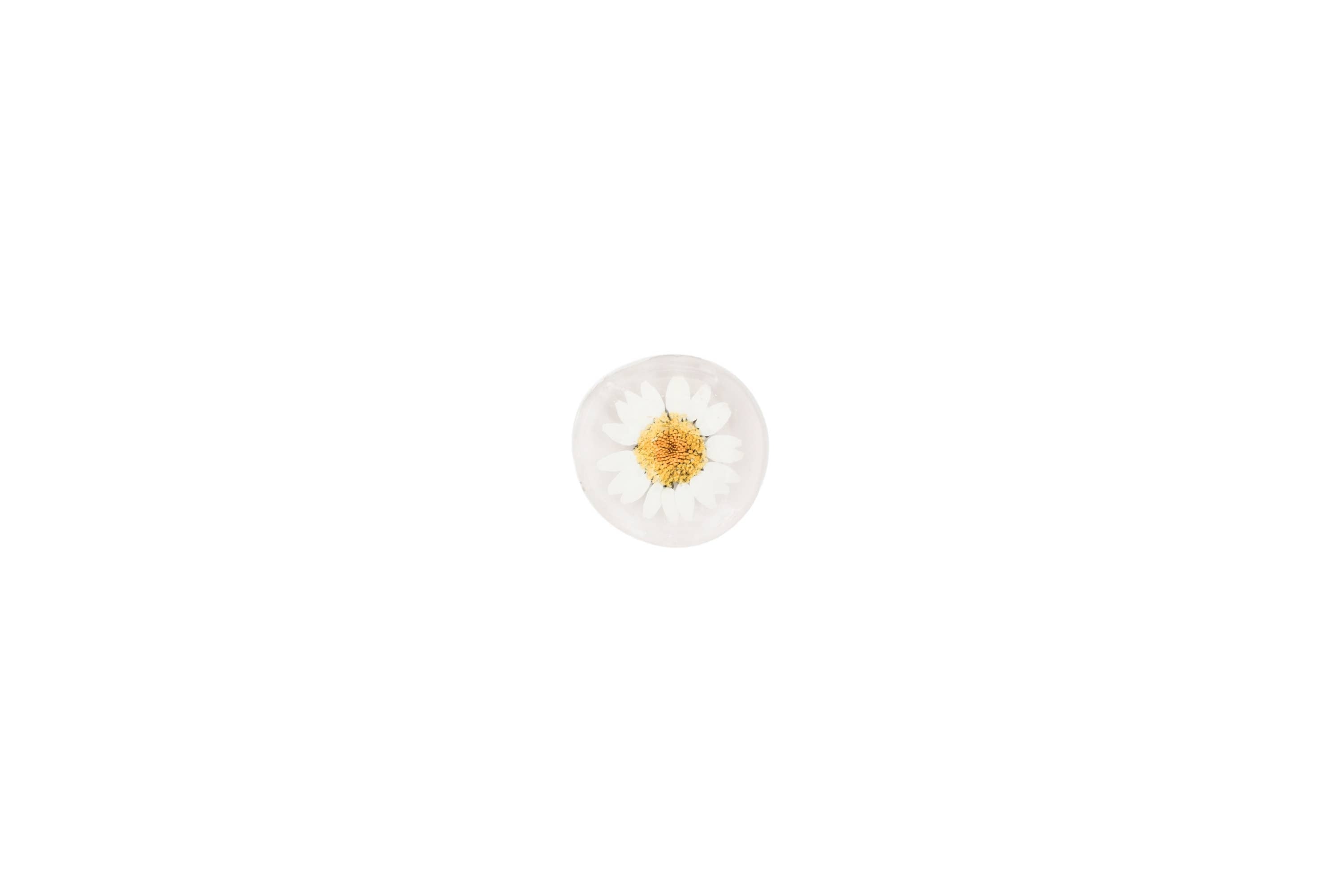 Real Flower Magnet - Glass Magnet
