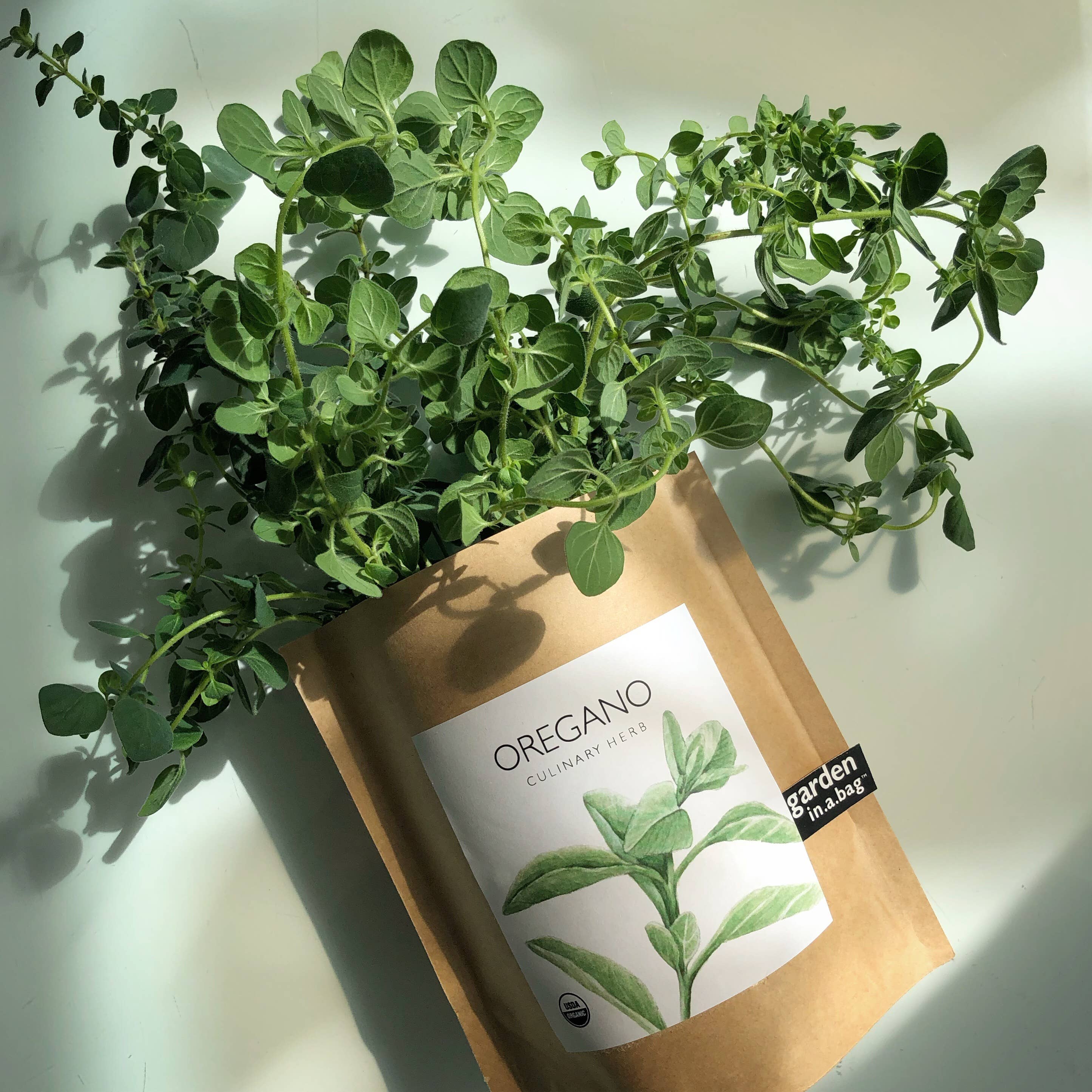 Garden in a Bag | Oregano |Spring Kitchen Garden Gift