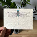 Darner Dragonfly Plantable Wildflower Seed Greeting Card