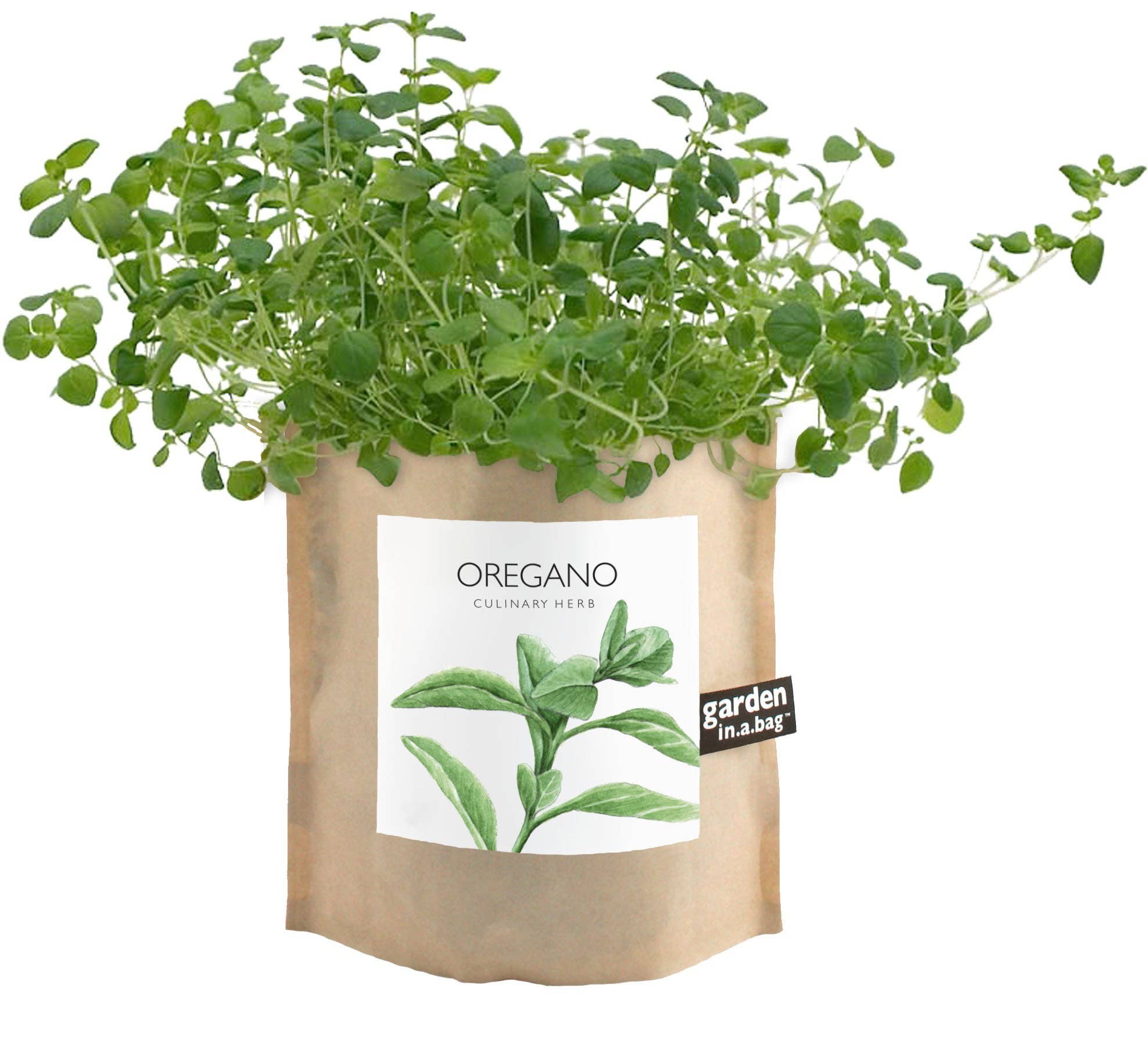 Garden in a Bag | Oregano |Spring Kitchen Garden Gift