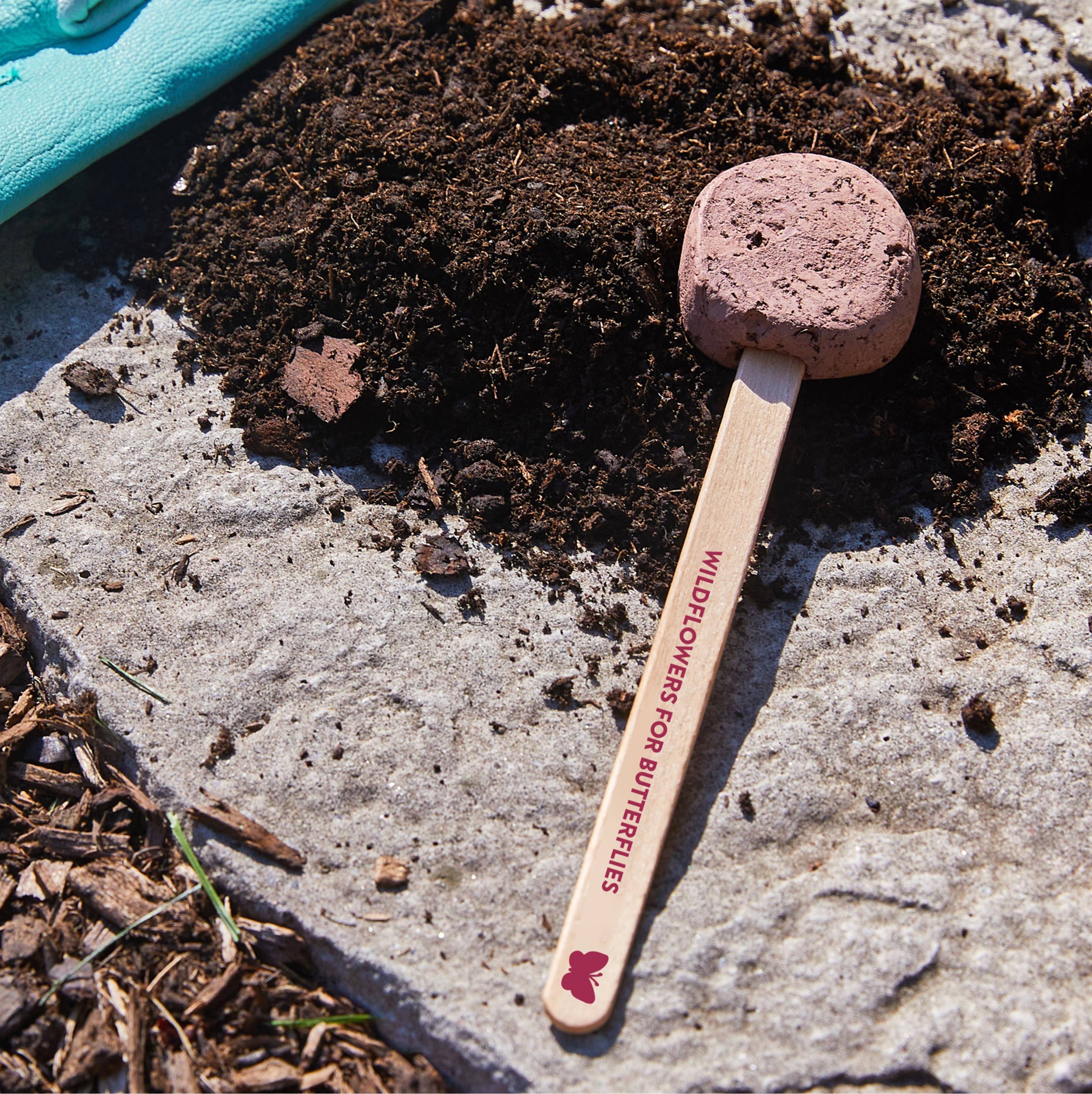 Pollinator Seed Pops - 36 Pk + Display