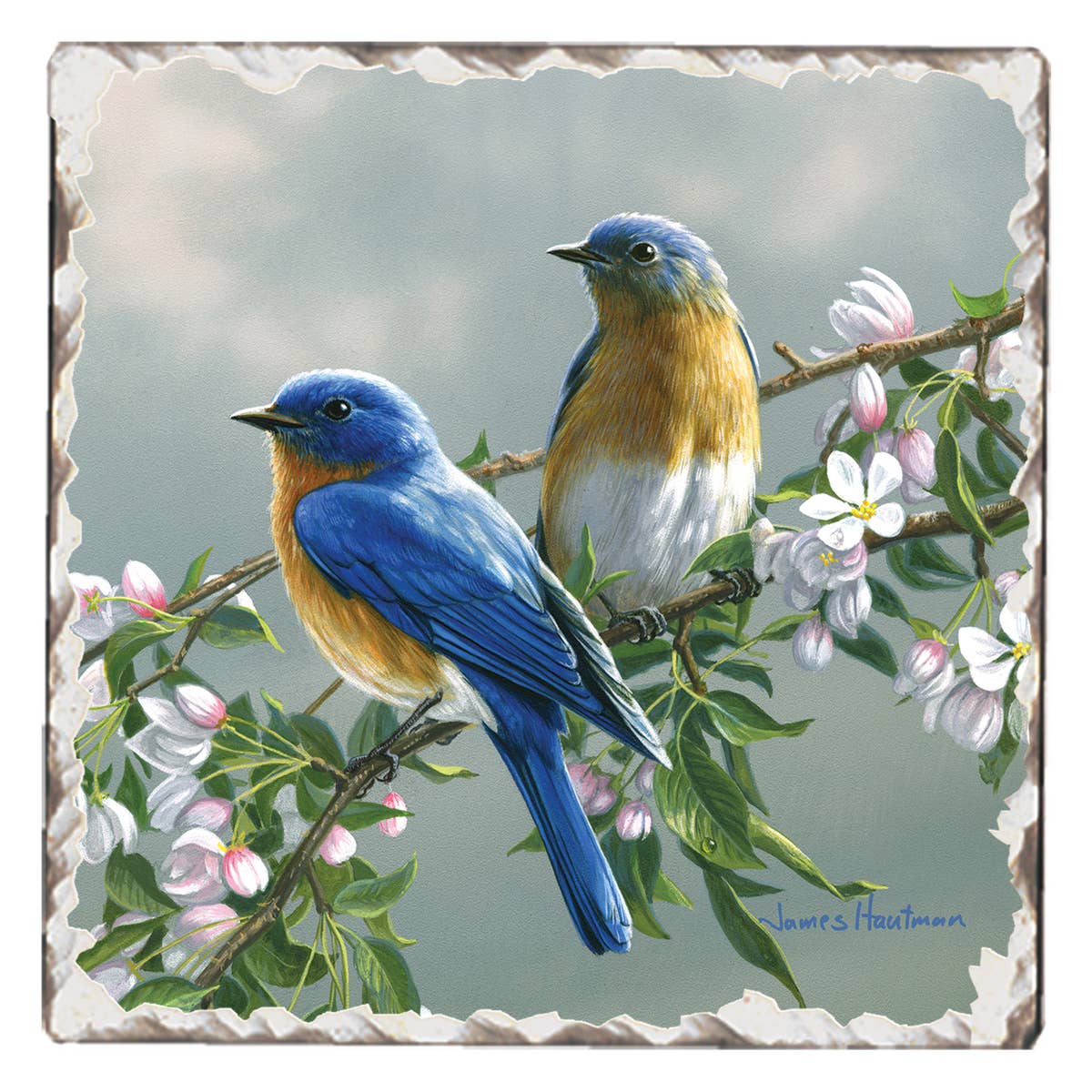 Two Blue Birds Stone Coaster