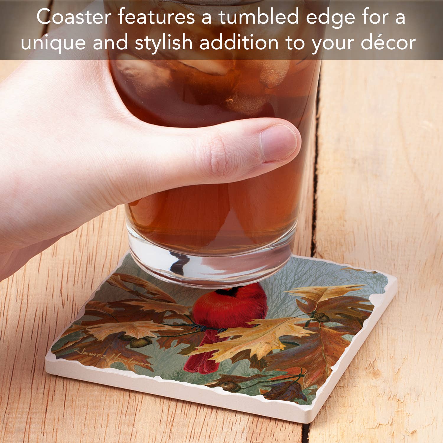 Cardinals #2 Single Absorbent Stone Tumbled Tile Coaster