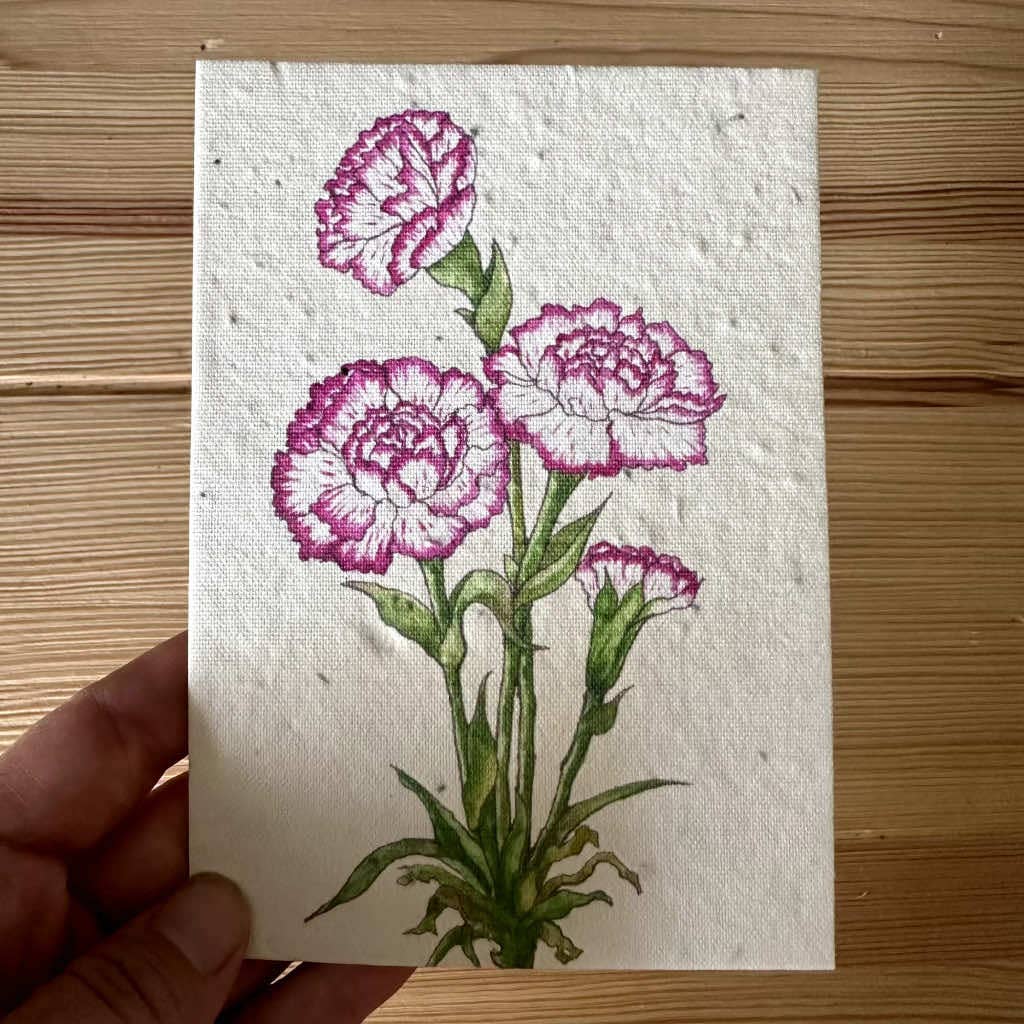 Carnation Greeting Card Plantable Wildflower Herb Seed Card