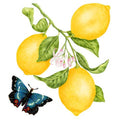 Single Flour Sack Towels Lemons