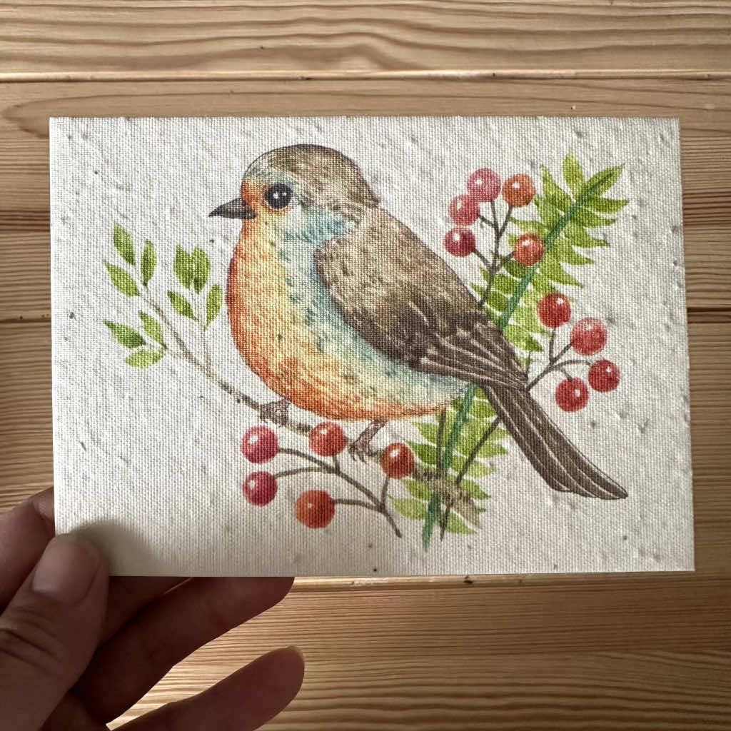 Robin Bird Plantable Wildflower Seed Greeting Card