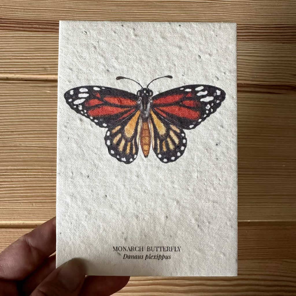 Butterfly Greeting Card Plantable Wildflower Herb Seed Card