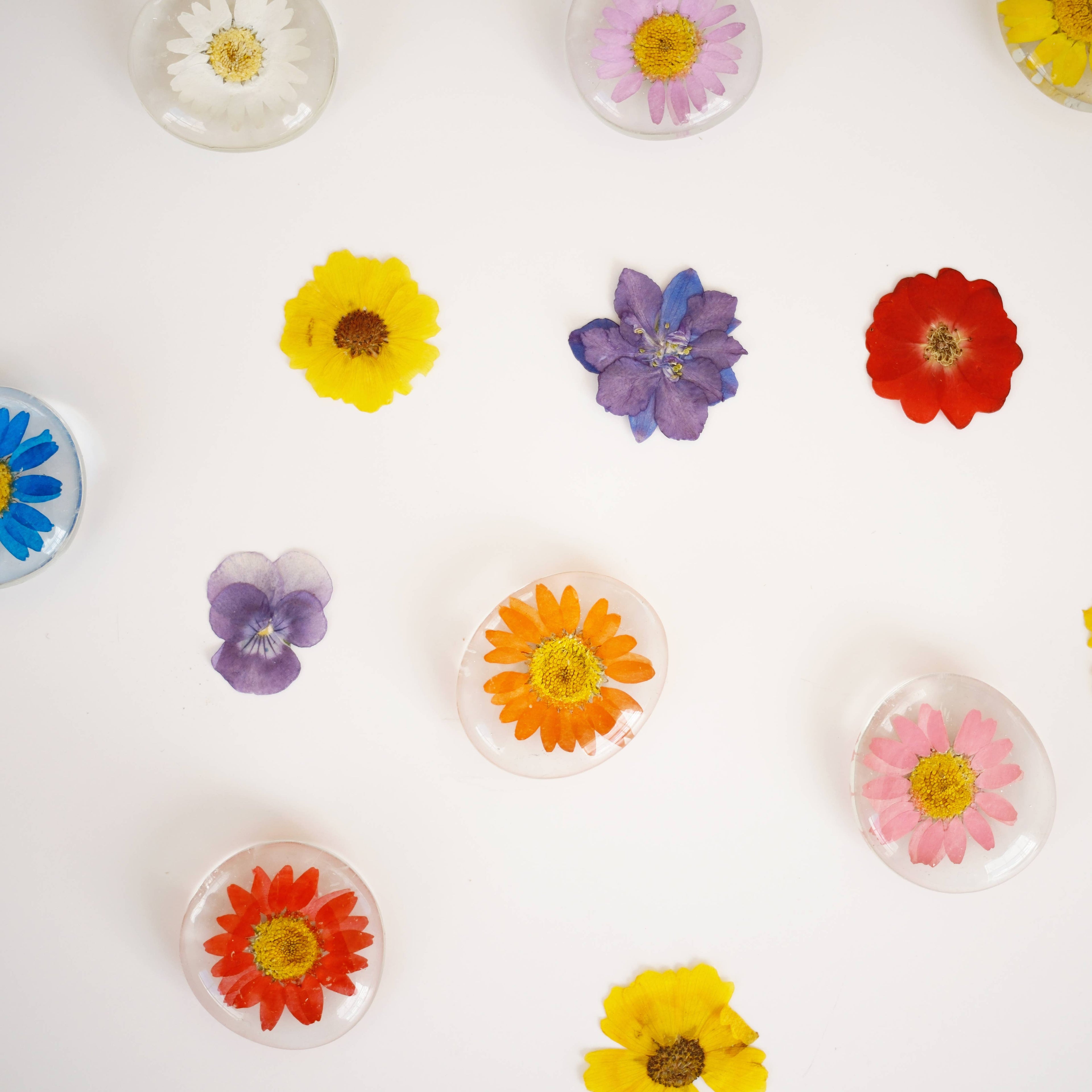 Real Flower Magnet - Glass Magnet