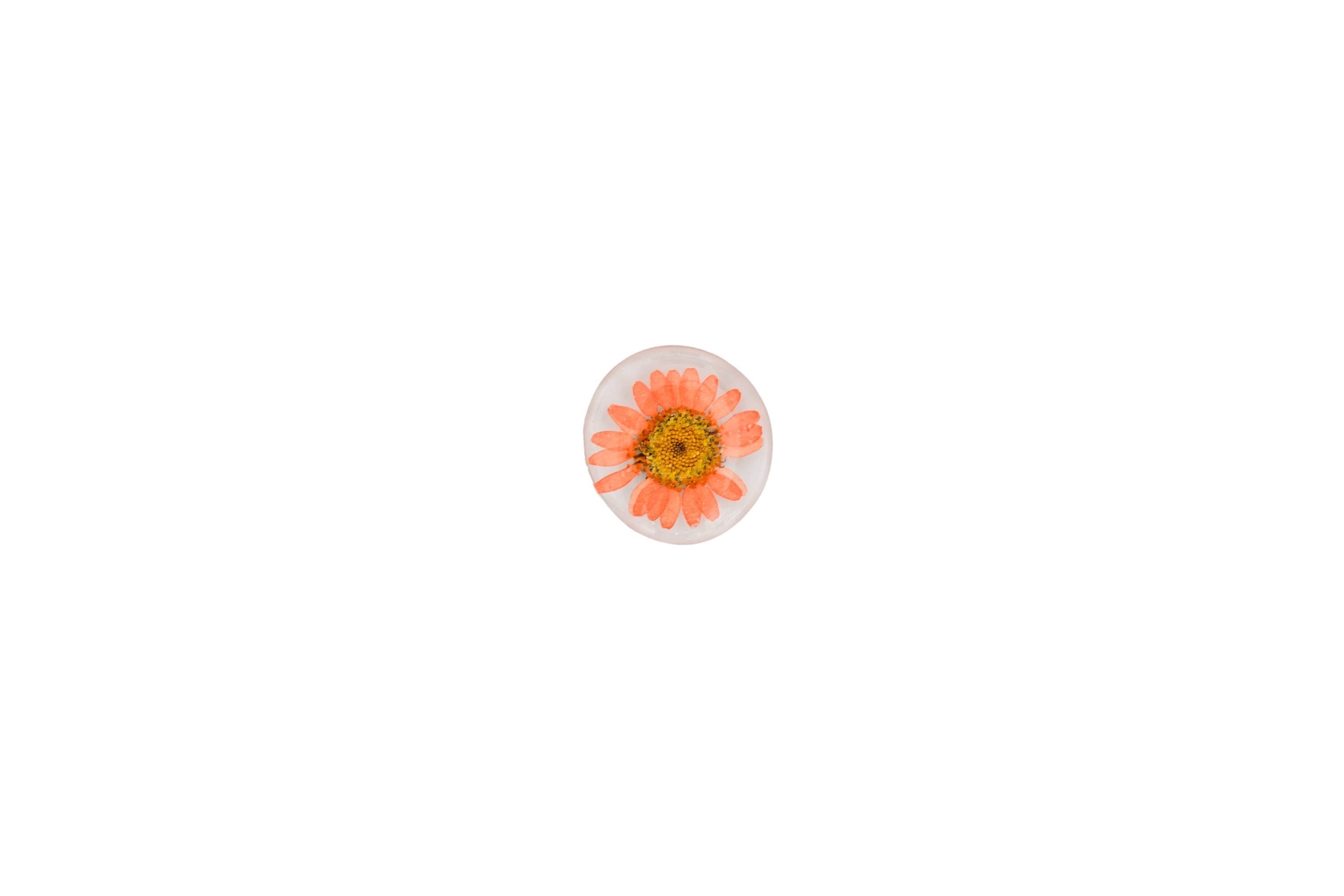 Real Flower Magnet - Glass Magnet