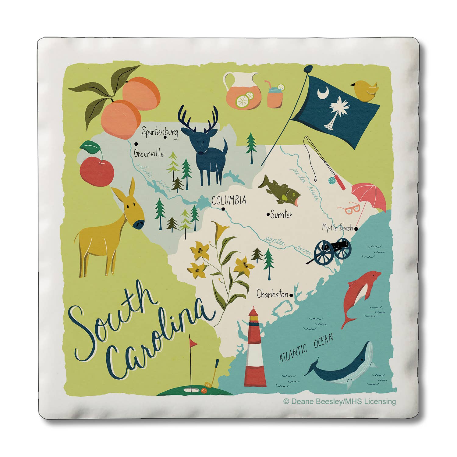 South Carolina Home Absorbent Coaster 4pk