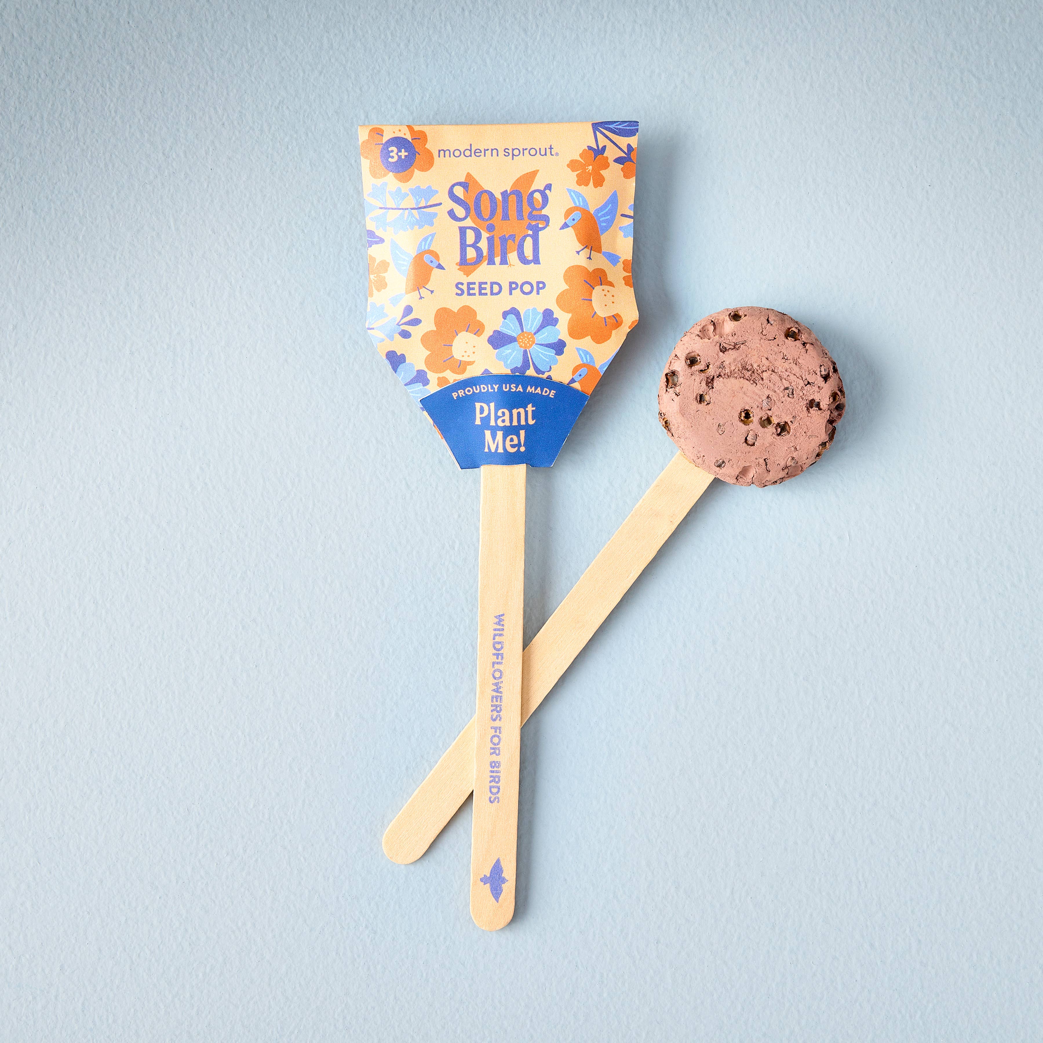 Pollinator Seed Pops - 36 Pk + Display