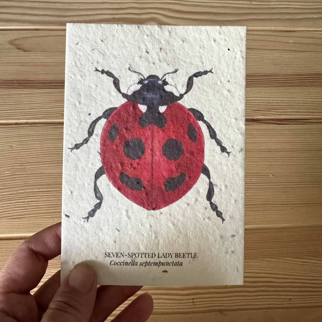 Lady Bug Greeting Card Plantable Wildflower Herb Seed Card