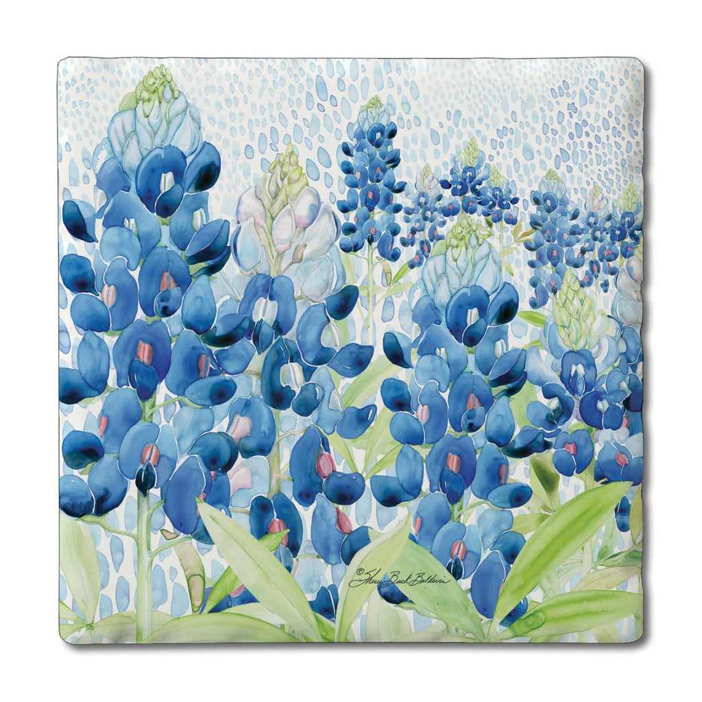 "Blue Bonnet Field" 4 Coasters