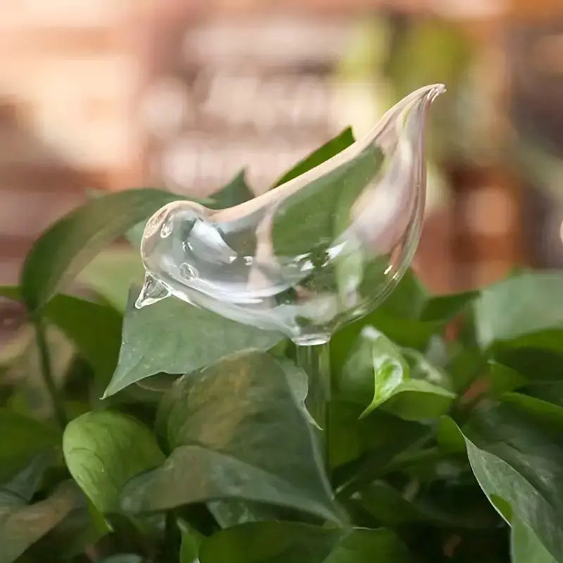 Bird Shaped Self Watering Bulbs: Watering Stakes for Plants