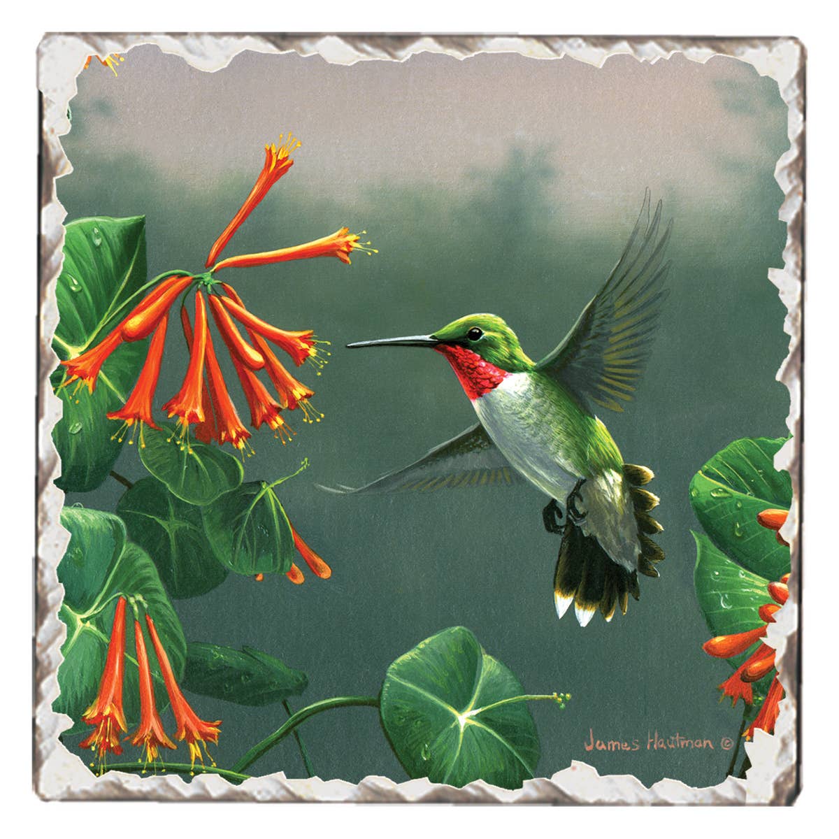 Hummingbird Stone Coaster
