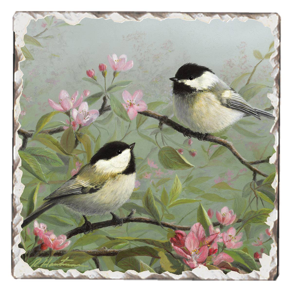 Two White and Black Birds Stone Coaster