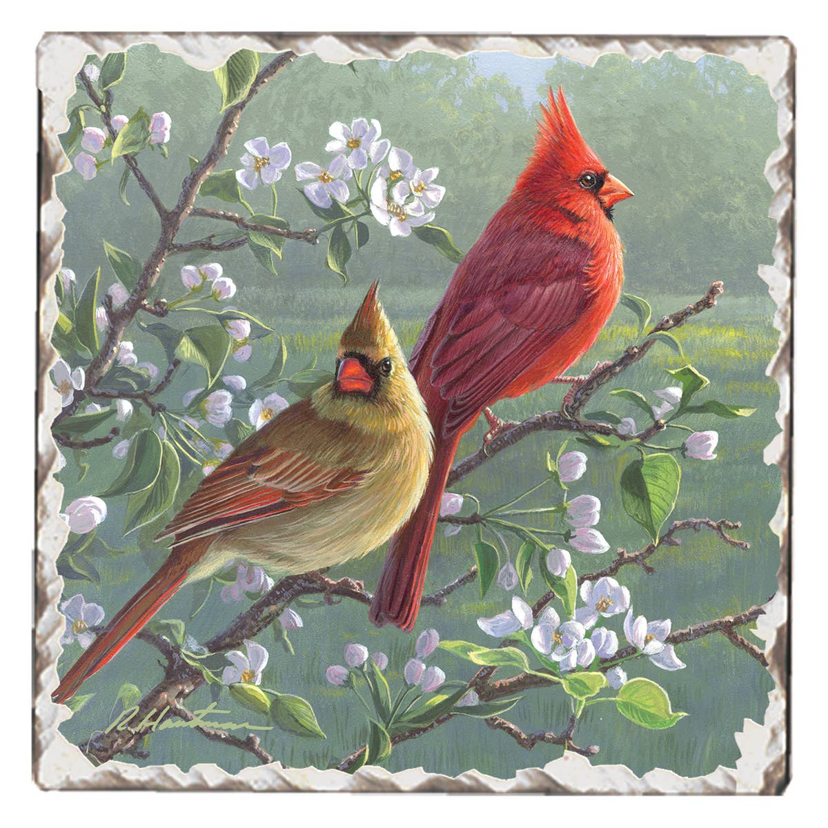 Two Cardinals on a Branch Stone Coaster