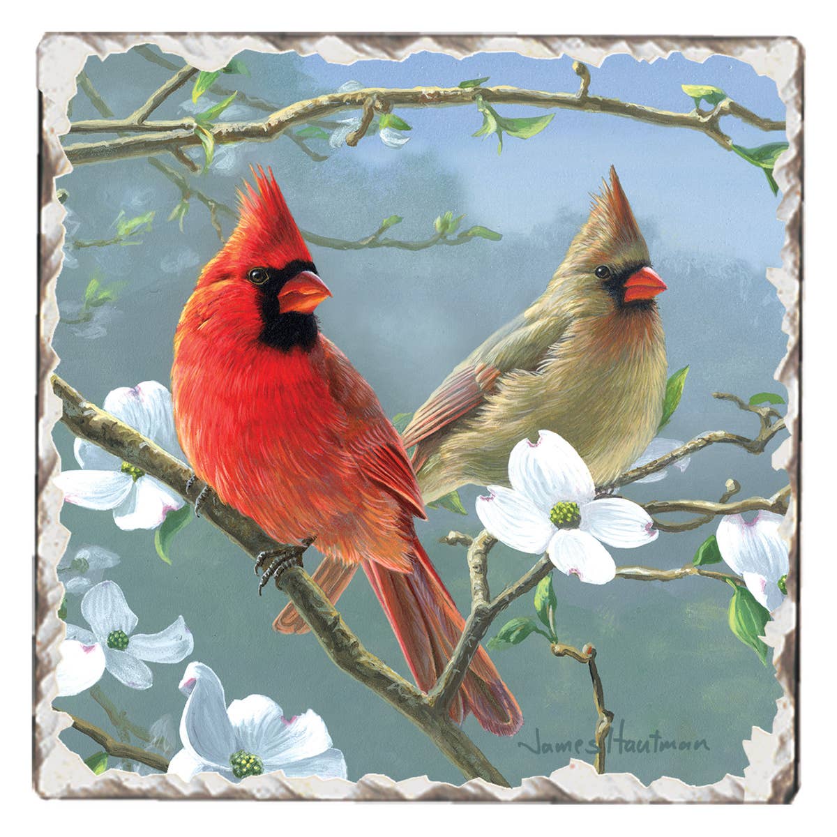 Two Cardinals Stone Coaster